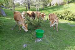 received_3003849069884336-1