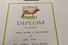 Anneli-Karlsson-237-Dora-Wirum-Pokalen