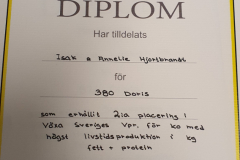 IsakAnneli-Hjortbrand-380Doris-2a-placering-Vaxa