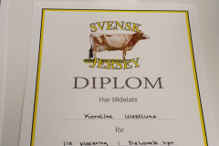 Karolina-Westlund-1a-Delaval